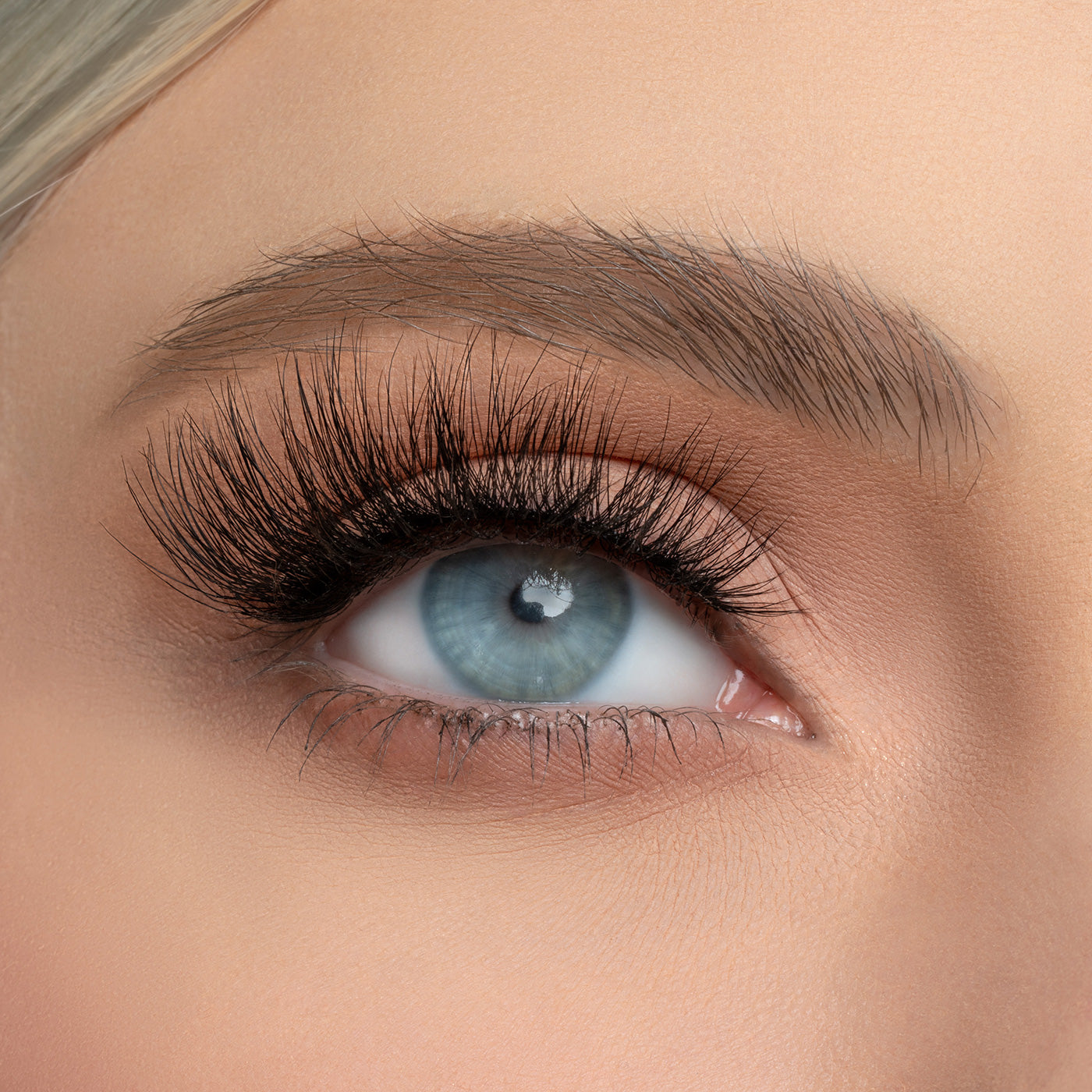 Butterfly Kisses – LiveGlam Inc.