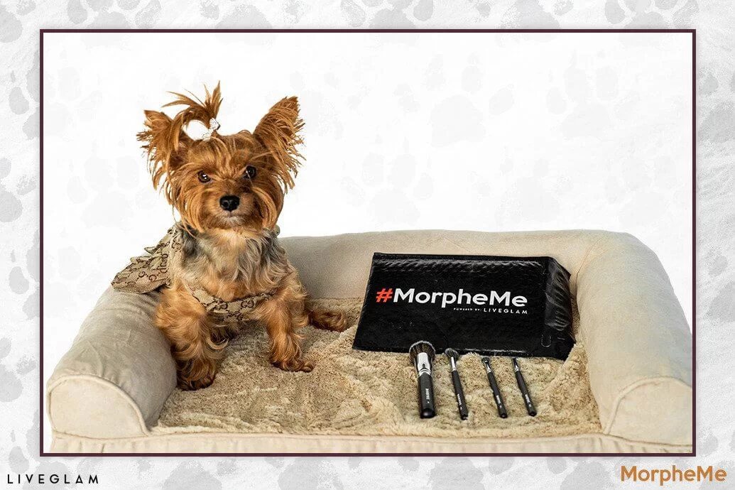 MorpheMe-January-2019-makeup-brushes